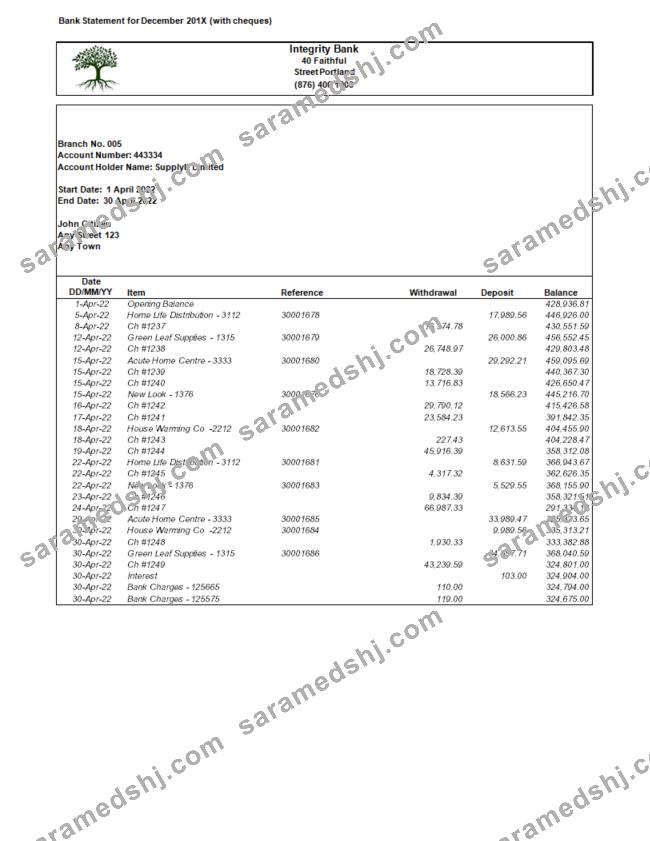 USA Integrity Bank statement Word and PDF template.1